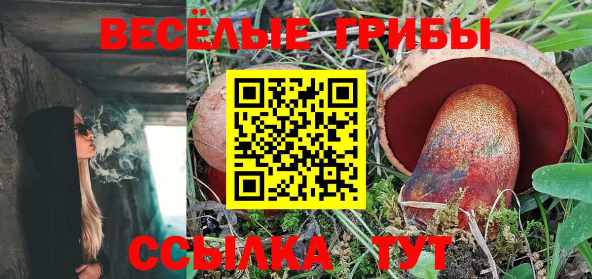 Чусовой  Галлюциногенные грибы Psilocybe  Вход с VPN  Псилоцибиновые грибы мухоморы 